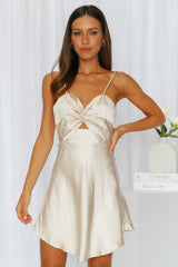 Sweet As Honey Dress Champagne